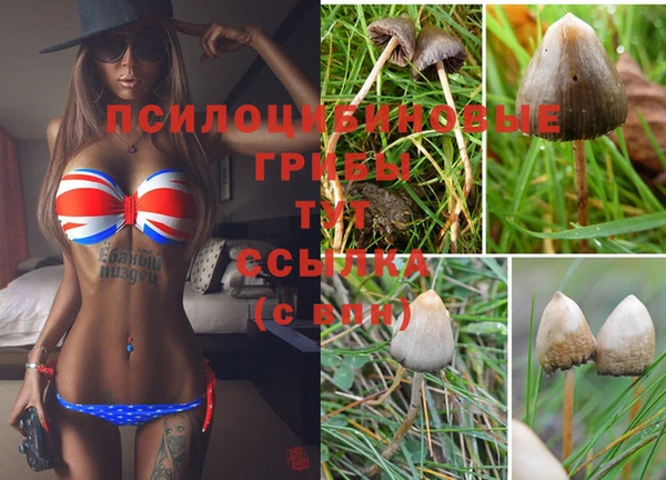 спайс Балабаново