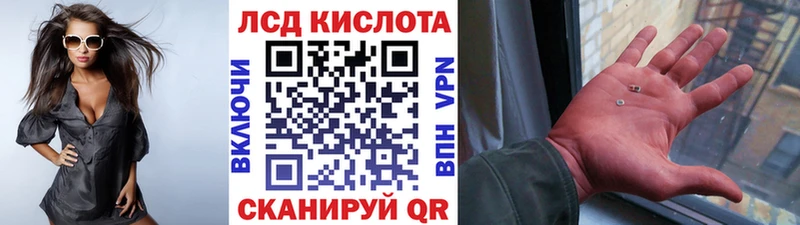 дарнет шоп Суворов Марки N-bome 1500мкг